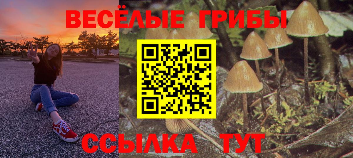 Псилоцибиновые грибы прущие грибы Сорочинск