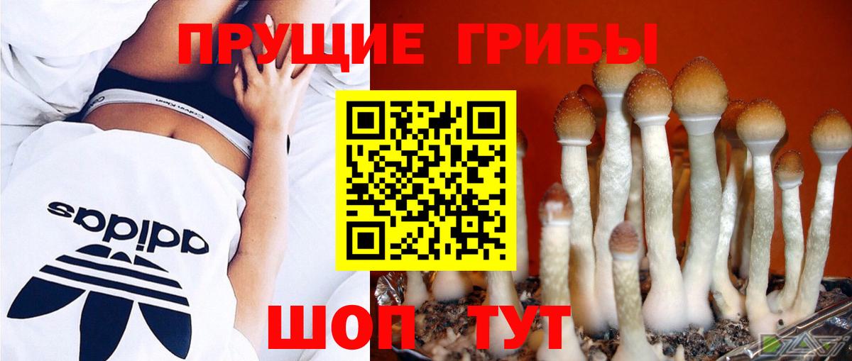 Галлюциногенные грибы MAGIC MUSHROOMS  Галлюциногенные грибы Psilocybe  Вход с VPN  наркошоп  Сорочинск 